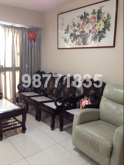 Blk 1C The Pinnacle@Duxton (Bukit Merah), HDB 5 Rooms #40941112